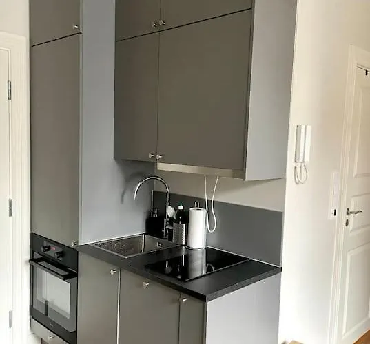 Modern And Cozy Studio In Central דירה אוסלו